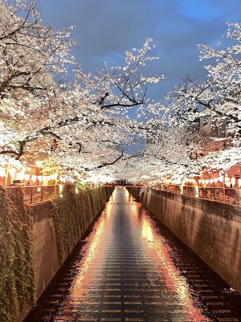 Nakameguro Meguro River