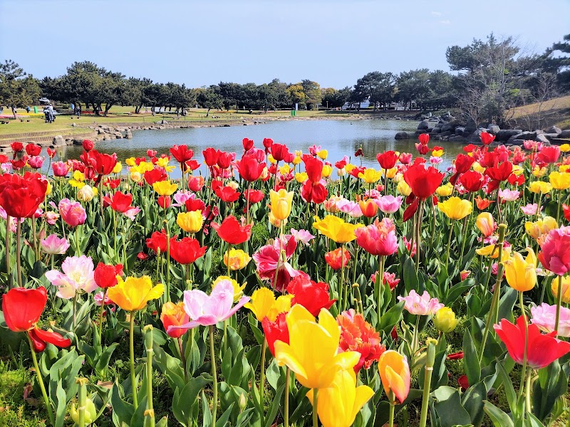 우미노나카미치 해변공원