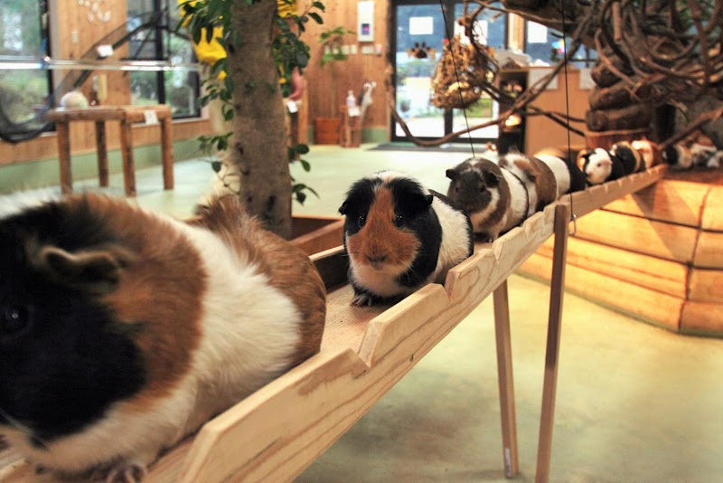 나가사키 바이오파크