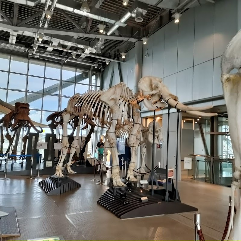 3M 센다이시 과학관