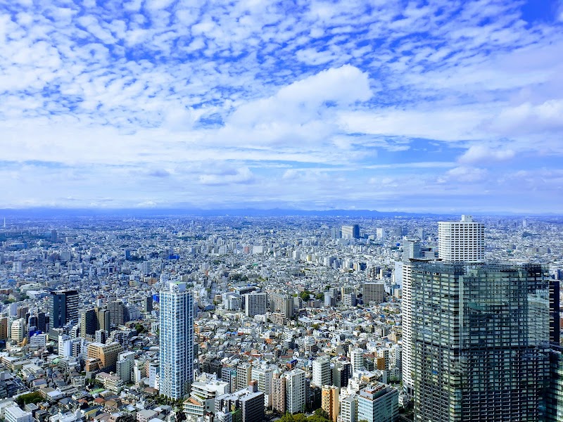 東京都庁展望室