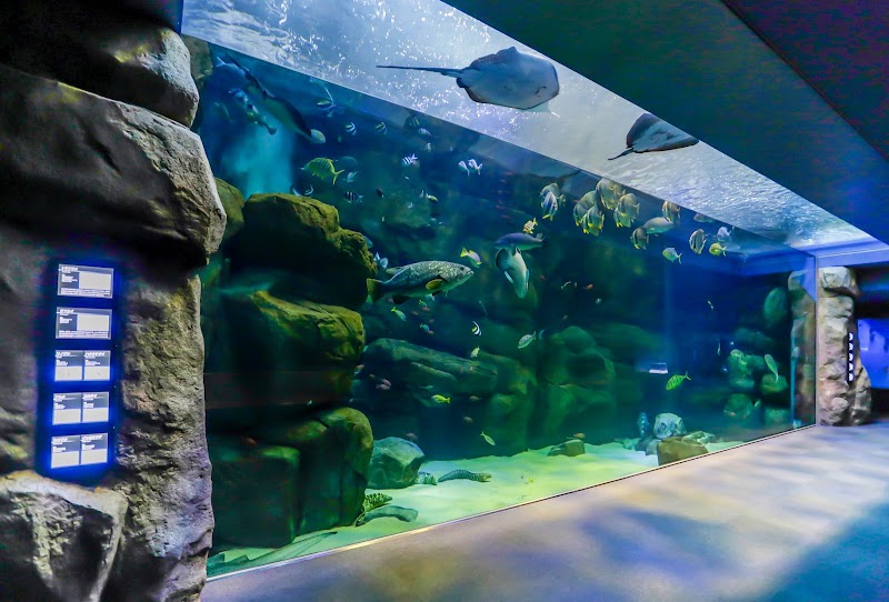 미야지마린 미야지마 수족관