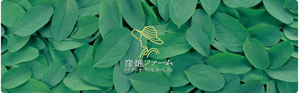 구보하타 팜 카페 (이치노카타)