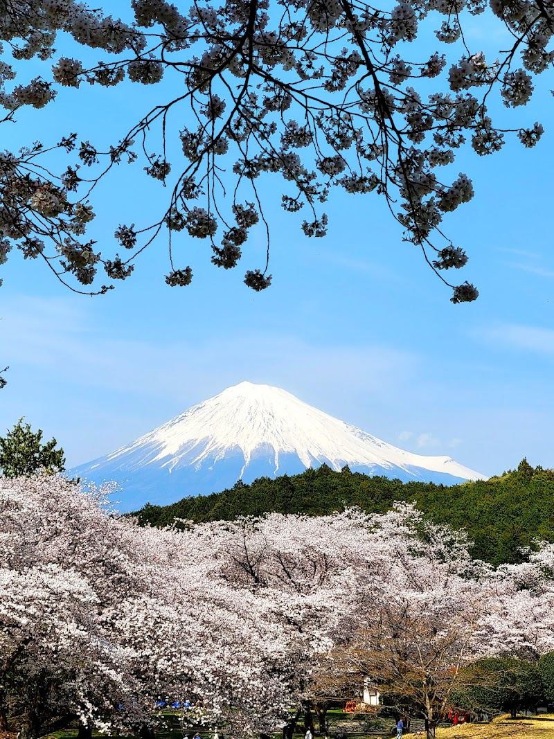 이와모토야마 공원