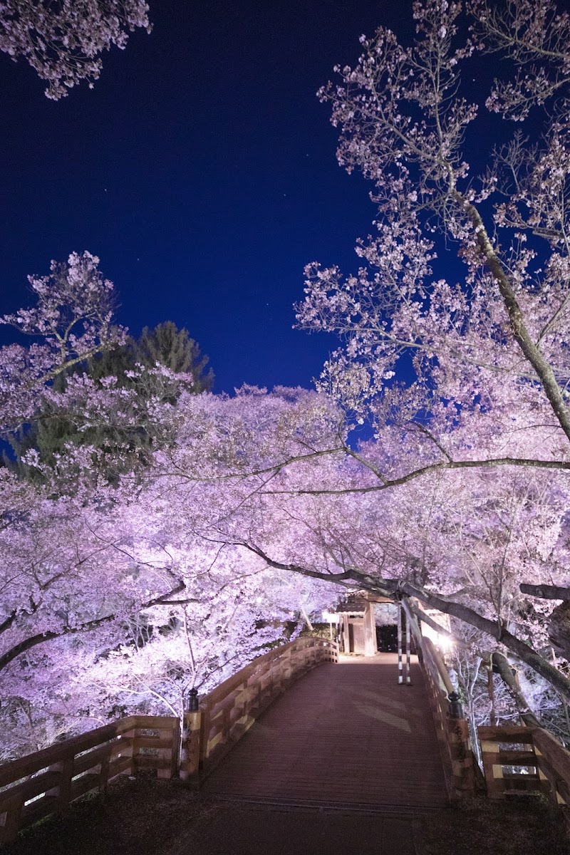 다카토성지 공원