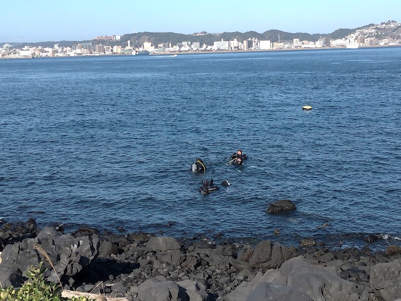 사쿠라지마 용암 나기사 공원