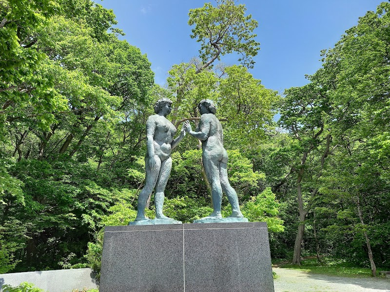 도와다코 겨울이야기 일루미네이션