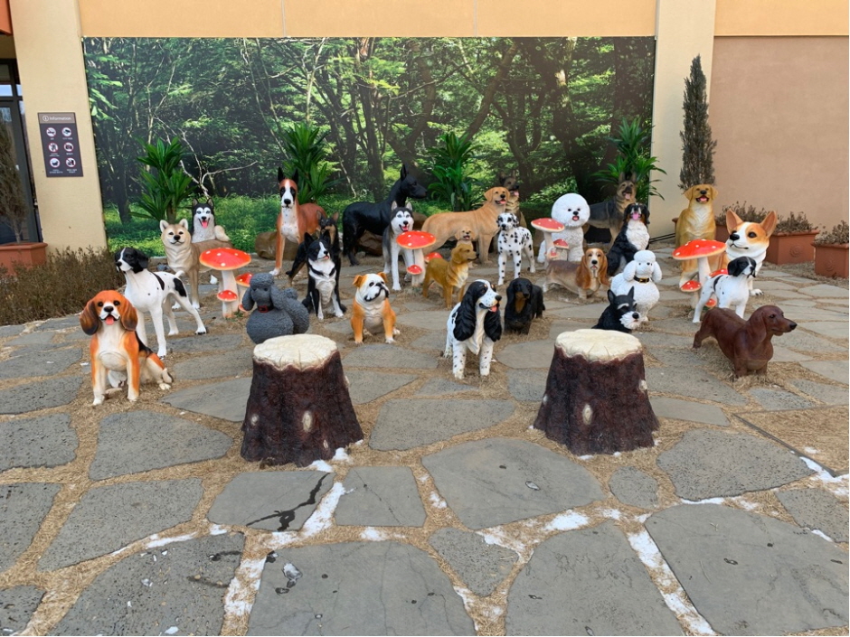 롯데프리미엄아울렛 기흥점