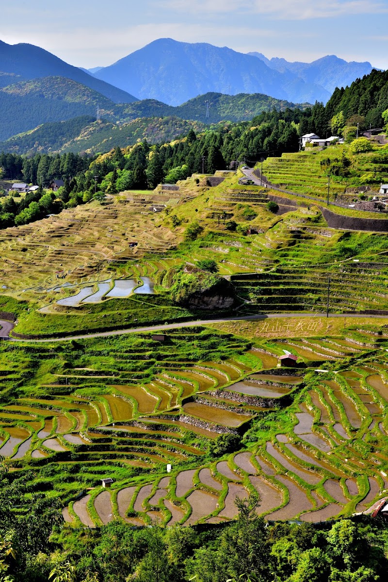 마루야마 센마이다 (천매전)