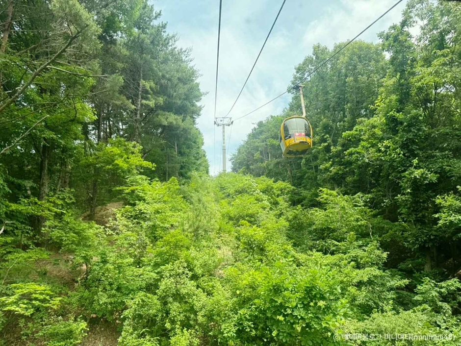 팔공산 케이블카