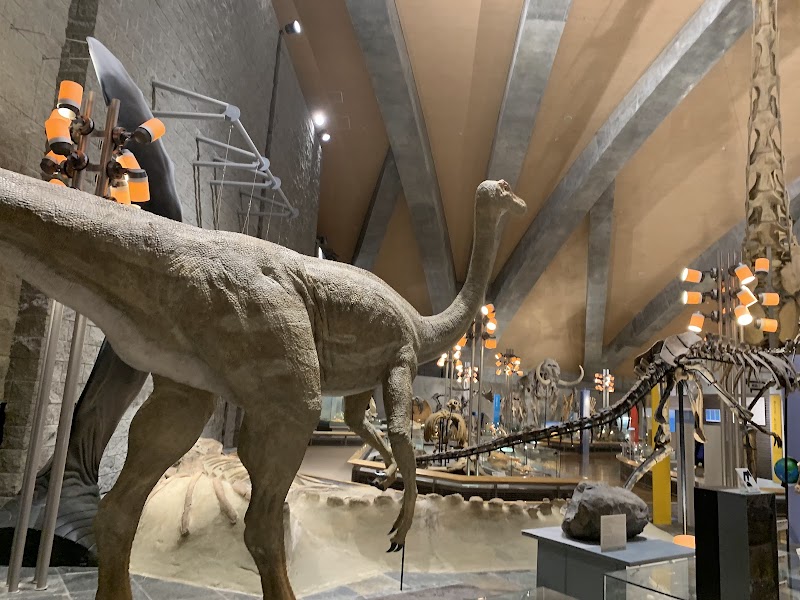 군마현립 자연사박물관