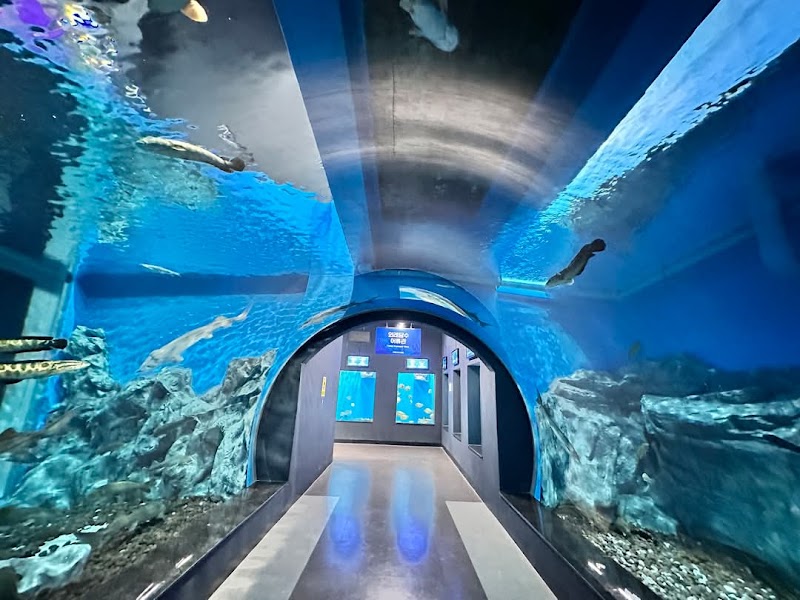 충북아쿠아리움