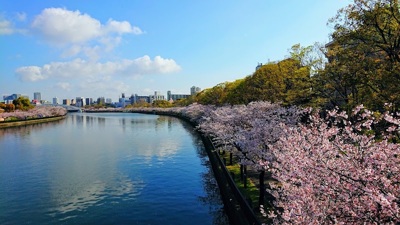 사쿠라노미야 공원