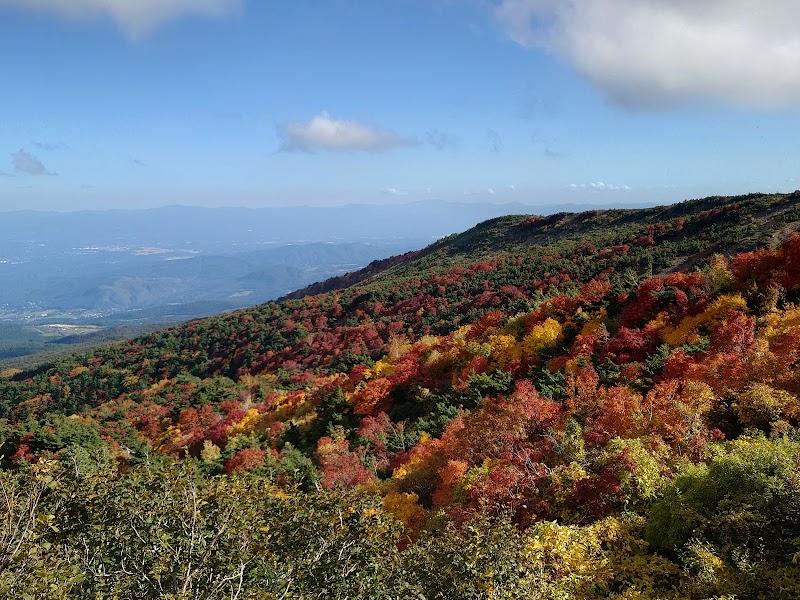 반다이아즈마 스카이라인