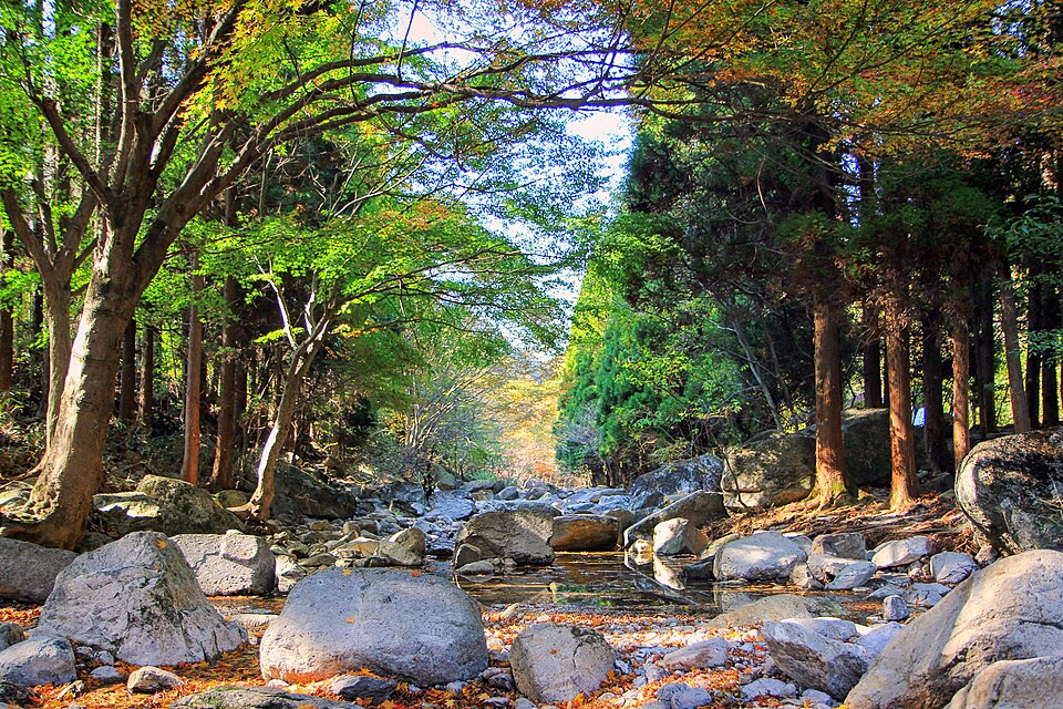 내장산국립공원