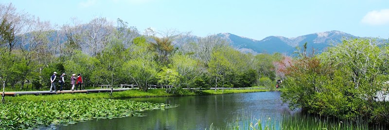 하코네 습생화원