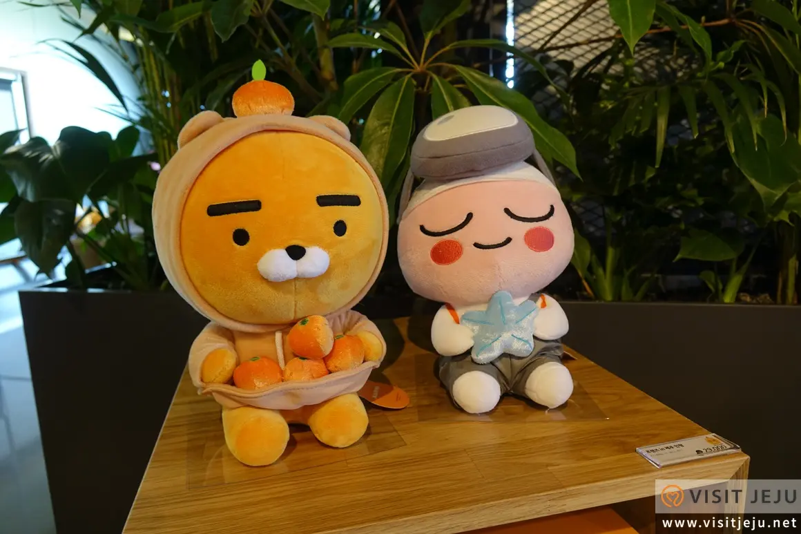 카카오프렌즈 스토어 제주