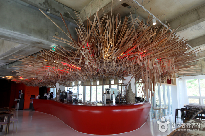 젊은달 와이파크