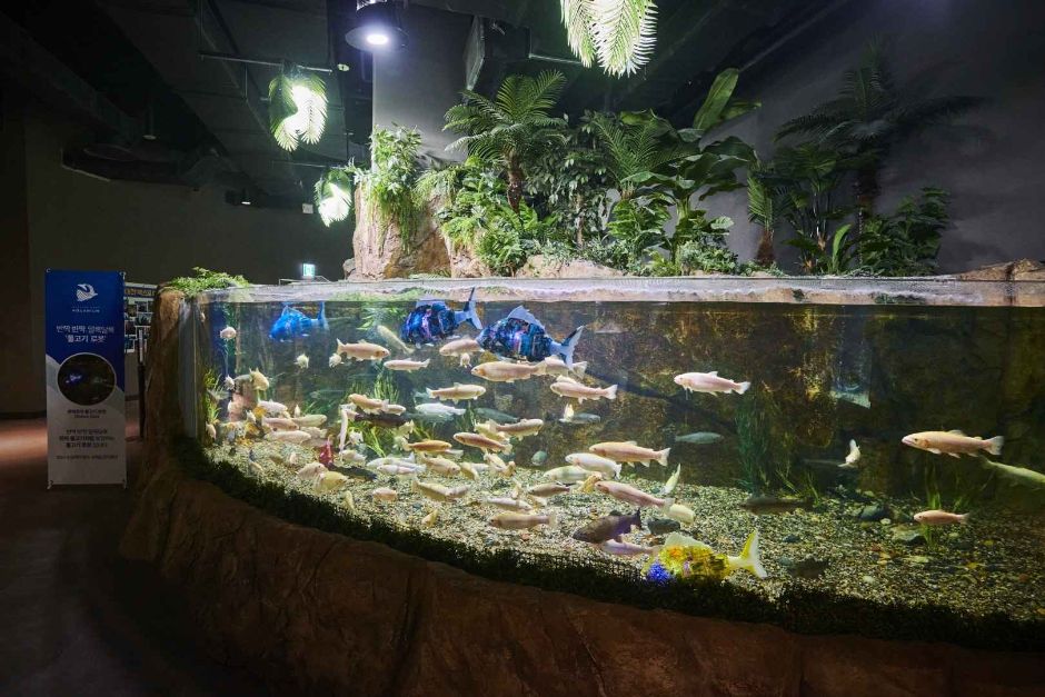 대전아쿠아리움