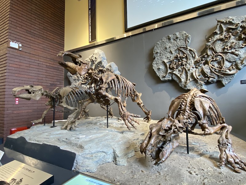 사이타마 현립 자연 박물관