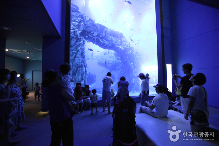 다누리아쿠아리움