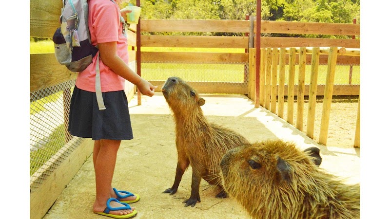 네오파크 오키나와