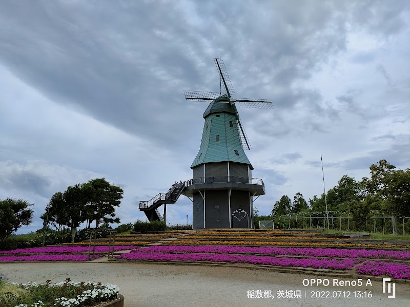 수이고 벚꽃 일루미네이션