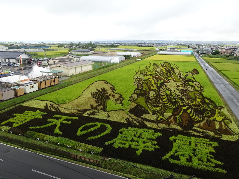 田舎館村田んぼアート