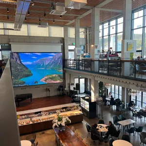 스타파이브 카페