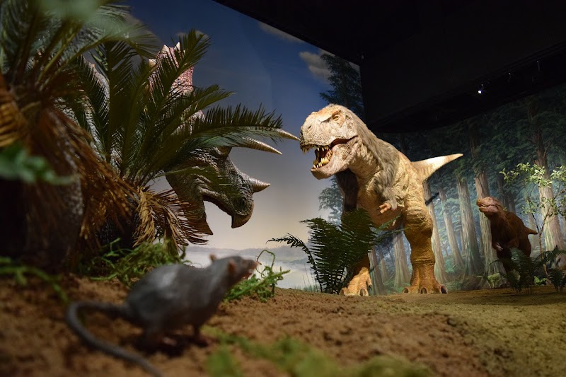 뮤지엄파크 이바라키 자연박물관